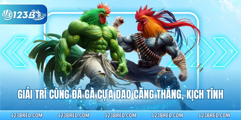 Giải trí cùng đá gà cựa dao căng thẳng, kịch tính