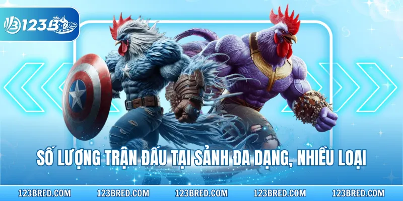Số lượng trận đấu tại sảnh đa dạng, nhiều loại