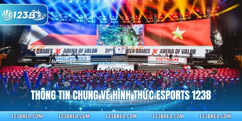 Thông tin chung về hình thức Esports 123B